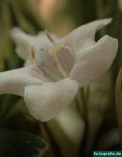 Was ist das 012 Kopie